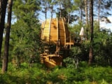 Foto #2 van Cap’Cabane