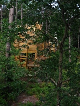 Establishment Cap'cabane - Captieux