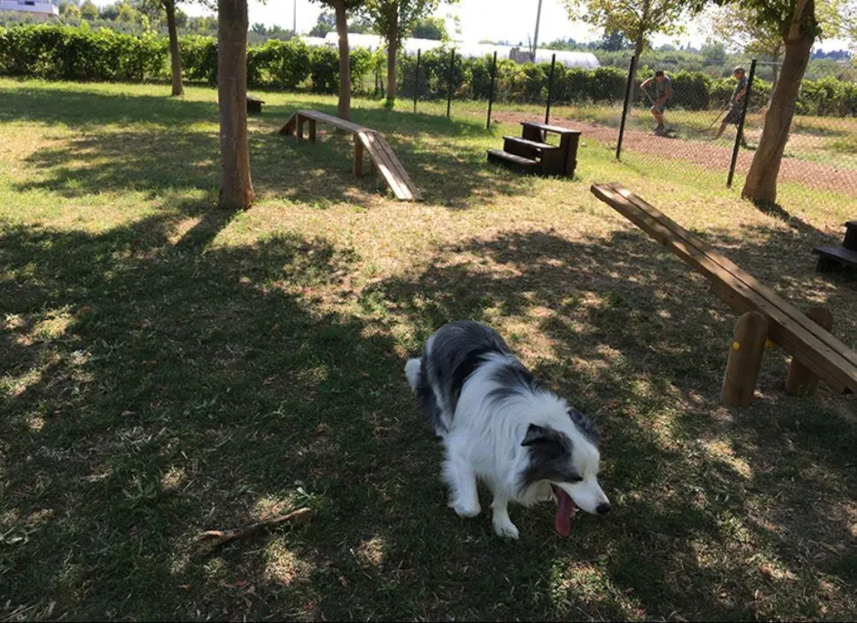 Club del Sole Stork Family Collection