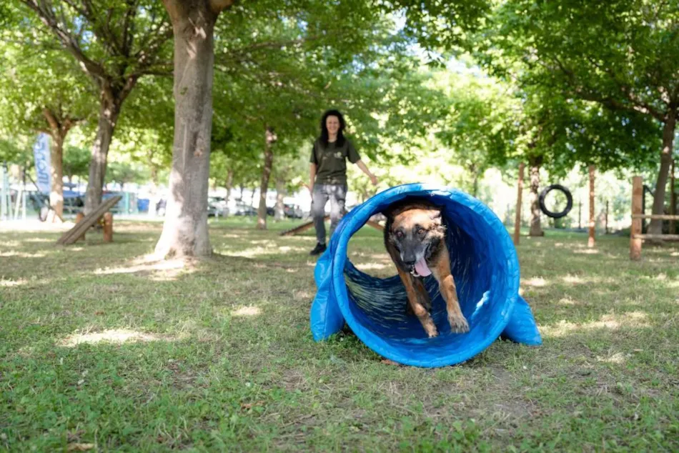 Club del Sole Stork Family Collection