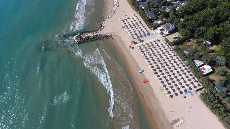 Club del Sole Stork Family Collection