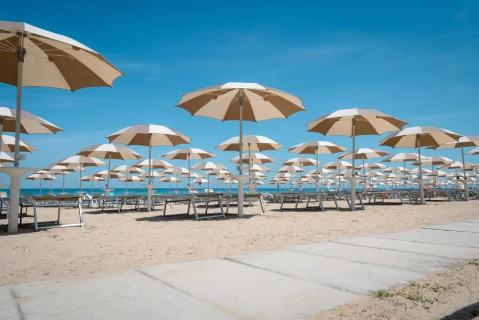 Club del Sole Stork Family Collection