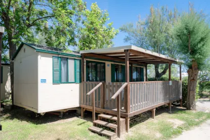 Lodge Comfort Pets Allowed