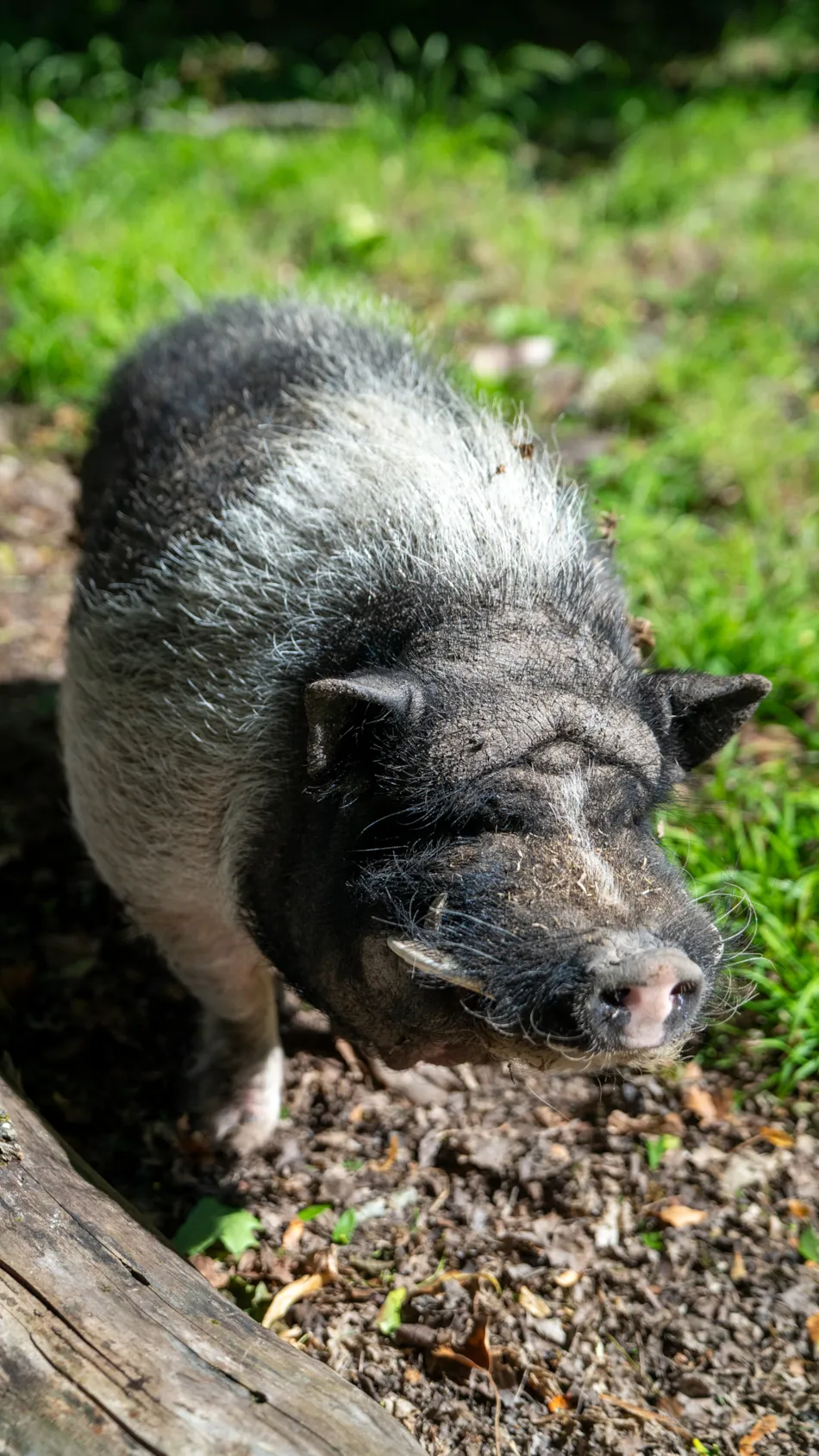 Le Village de la Champagne