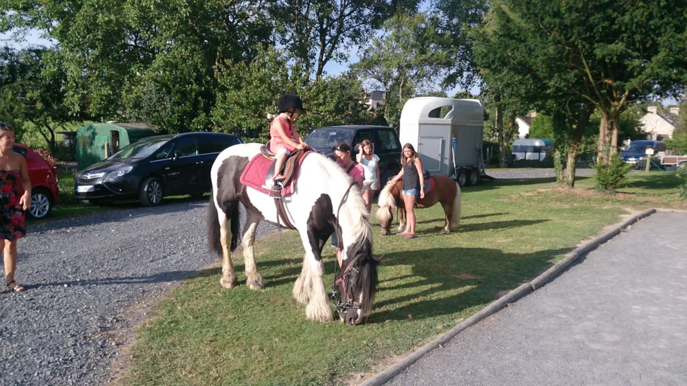 Camping la Roseraie d'Omaha