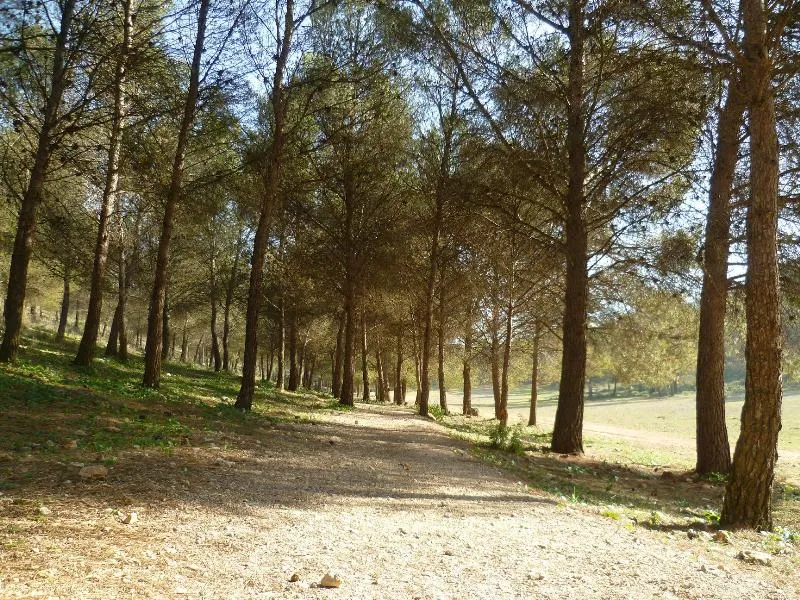 Camping La Sierrecilla