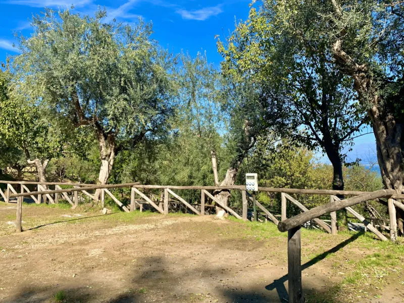 Pitch "Standard Platz" Caravan/Trailer Tent /Tent < 6,0 Mt, Camping-Car < 7.5 Mt