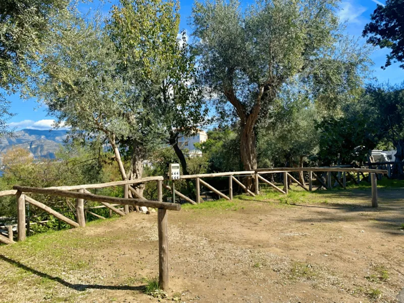 Pitch "Standard Platz" Caravan/Trailer Tent /Tent < 6,0 Mt, Camping-Car < 7.5 Mt