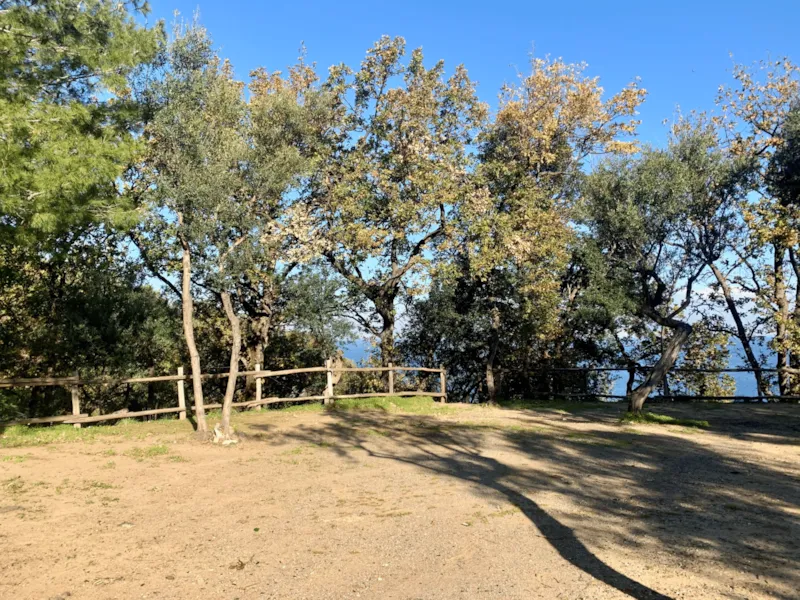 Pitch "Standard Platz" Caravan/Trailer Tent /Tent < 6,0 Mt, Camping-Car < 7.5 Mt