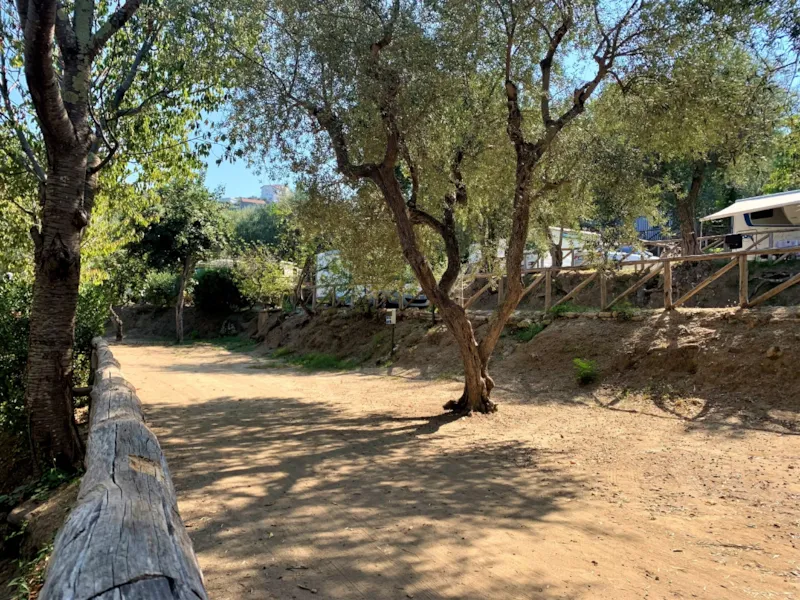 Emplacement Tente Petit