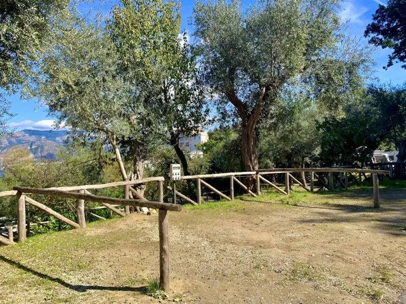 Emplacement Tente Petit