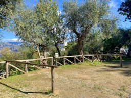 Kampeerplaats(en) - Standplaats Kleine Tent - Villaggio Campeggio Santa Fortunata