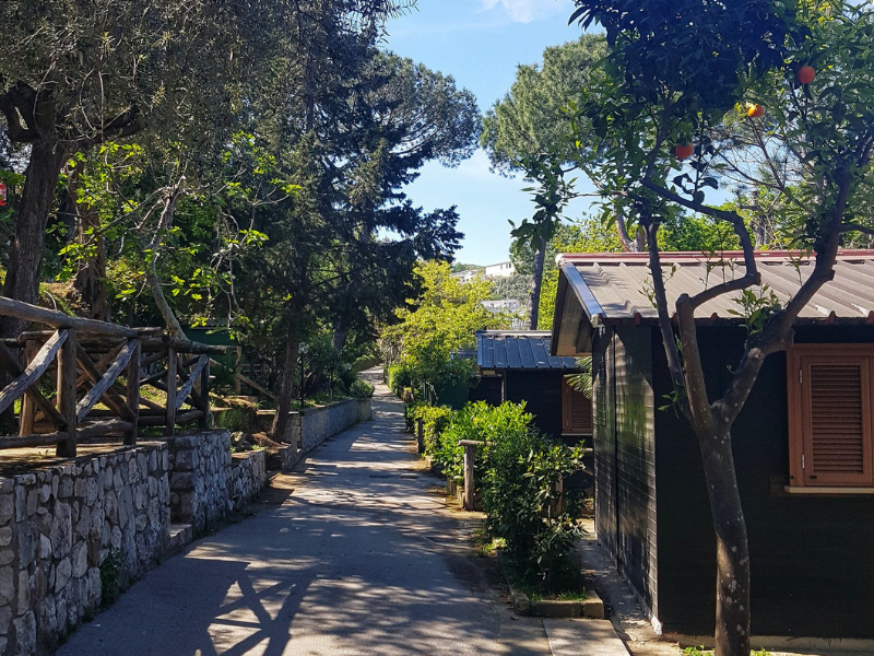 Bungalow Bungalow