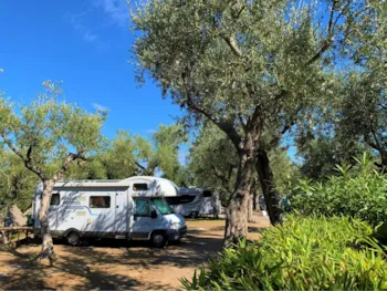 Emplacement - Pitch "Super Platz" - Villaggio Campeggio Santa Fortunata