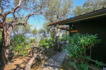 Location - Bungalow Superior - Villaggio Campeggio Santa Fortunata