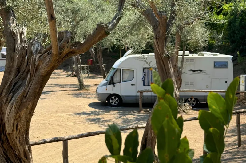 Pitch "Standard Platz" Caravan/Trailer Tent /Tent < 6,0 Mt, Camping-Car < 7.5 Mt