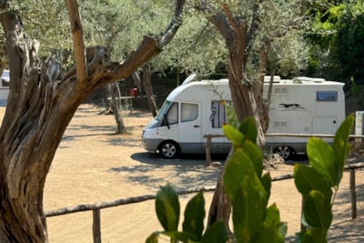 Pitch "Standard Platz" Caravan/Trailer Tent /Tent < 6,0 mt, Camping-car < 7.5 mt — 4