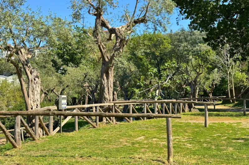 Emplacement Tente Petit