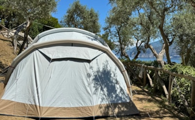 Pitch Small Tent — 3