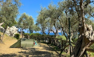 Pitch Small Tent — 1