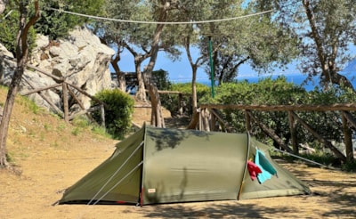 Pitch Small Tent — 5