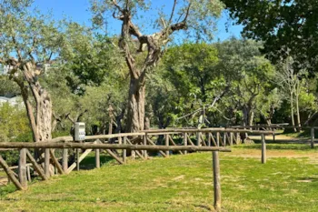 Emplacement - Pitch "Standard Platz" Caravan/Trailer Tent /Tent < 6,0 Mt, Camping-Car < 7.5 Mt - Villaggio Campeggio Santa Fortunata