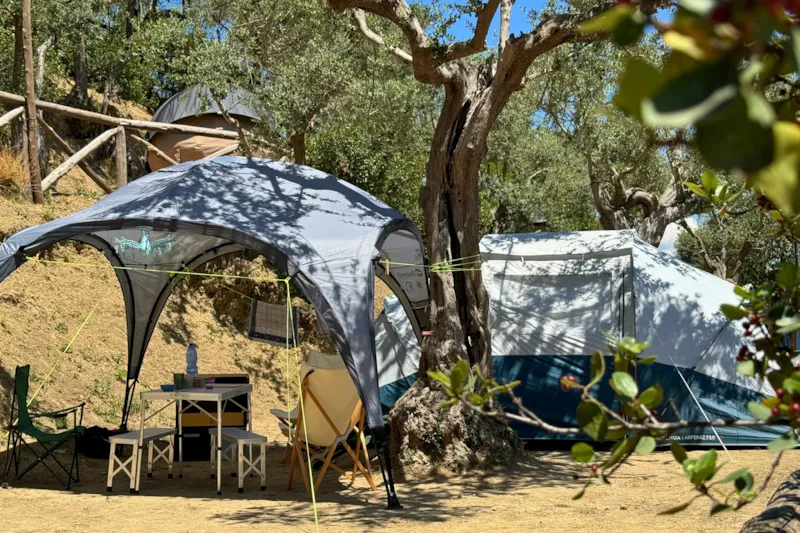 Pitch "Standard Platz" Caravan/Trailer Tent /Tent < 6,0 Mt, Camping-Car < 7.5 Mt