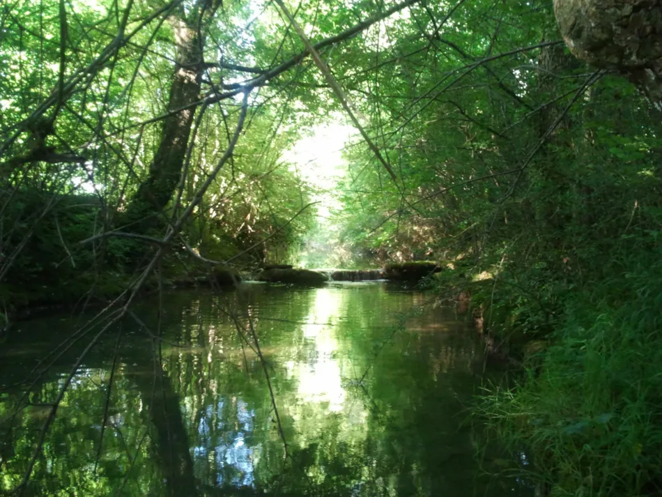 Camping Les Rives du Céou