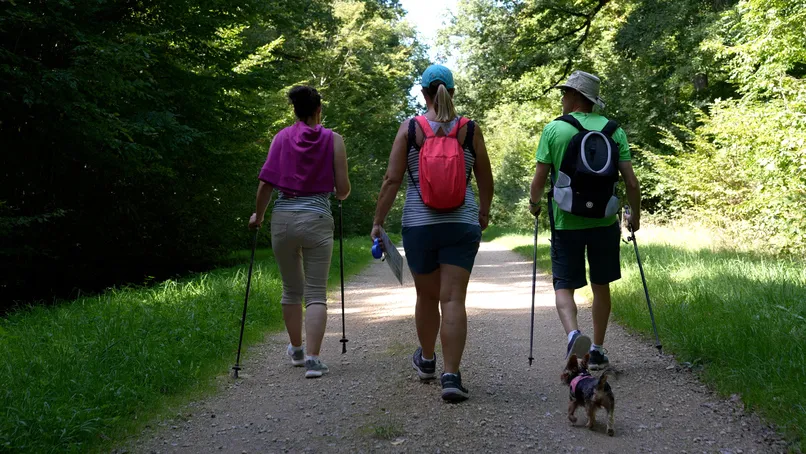 Camping de Contrexeville