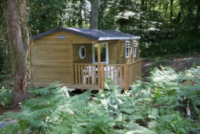 Mobil-home Standard Bois - 31m² -3 bedrooms + semi-covered terrace 18m² + TV — 1