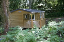 Location - Mobil-Home Standard Bois 31M² 3 Chambres + Terrasse Semi-Couverte 18M² + Tv - Flower Camping La Chênaie