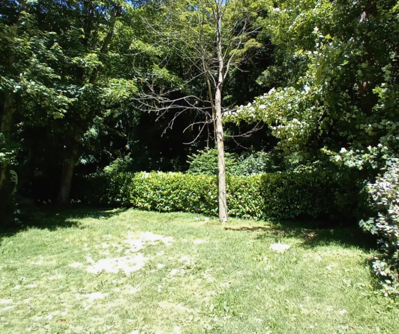 Forfait Confort (1 Tente, Caravane Ou Camping-Car / 1 Voiture / Électricité 10A)