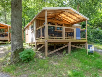 Huuraccommodatie(s) - Cosyflower Premium Op Palen 38M² Met Overdekt Terras 11M² - 2 Kamers + Tv - Flower Camping La Chênaie