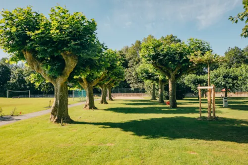 Kampeerplaats(en) - Standplaats Tent/Caravan - image n°1 - Camping Intercommunal Beaurepaire