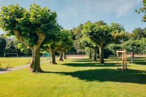 Emplacement - Emplacement camping-car - Camping Intercommunal Beaurepaire
