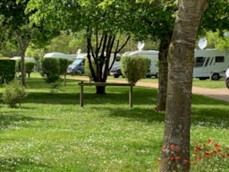 Pitch - Green Pitch  (1 Adult And Electricity) - Camping Le Hameau des Champs