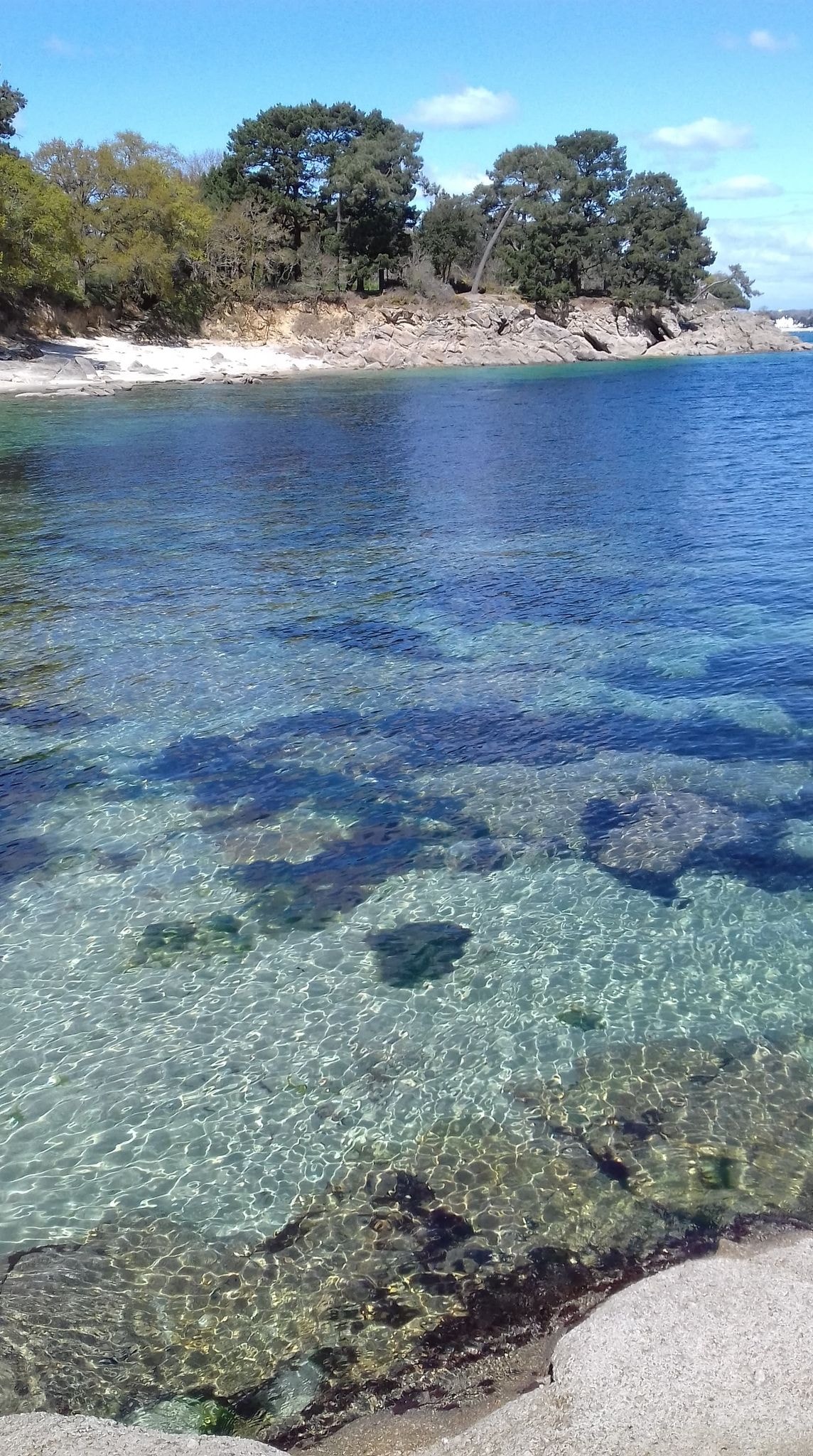 Camping de La Roche Percée — Photo 10