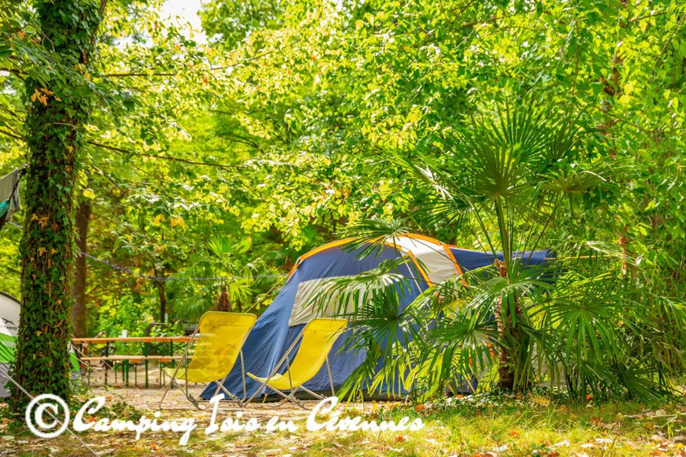 Isis En Cévennes - image n°9 - Camping Direct