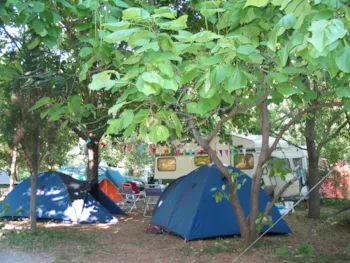 Stellplatz - Komfort ++ Stellplatz - Isis En Cévennes