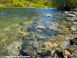 Isis En Cévennes - image n°25 - Roulottes