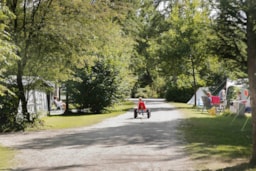 Camping de Wildhoeve - image n°10 - Roulottes