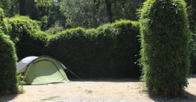 Comfort Package Tent (electricity 10A) 80m² — 1