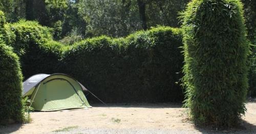 Basisprijs Comfortplaats Tent (elektriciteit 10A) 80m²