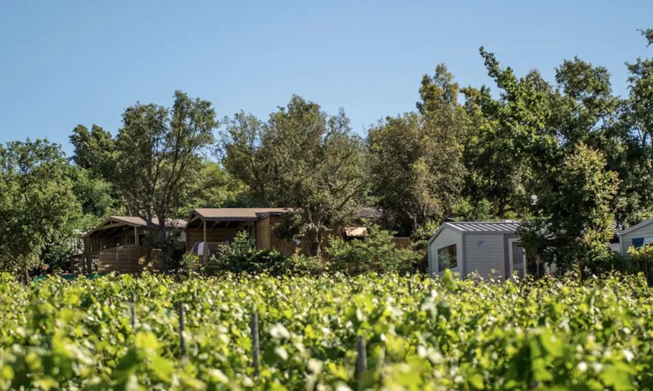 Camping La Rouillère