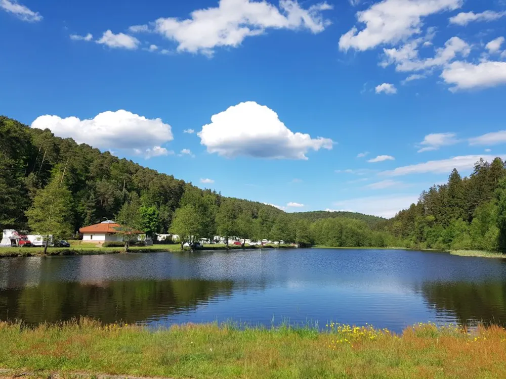 Comfort Pitch Near The Lake With One Person Included. Dogs Not Allowed