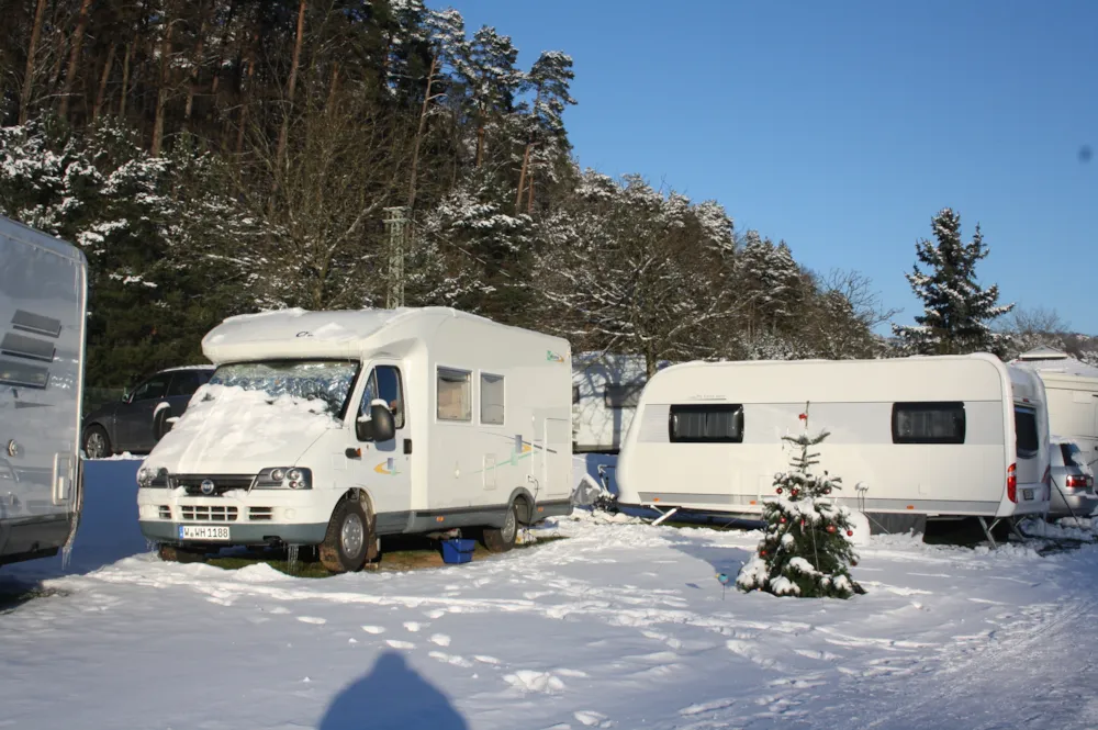 Palatinate Christmas Week