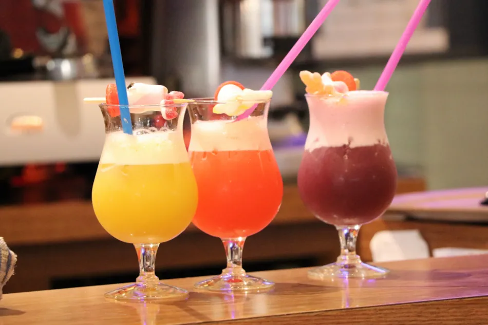 Camping Le Panoramique 