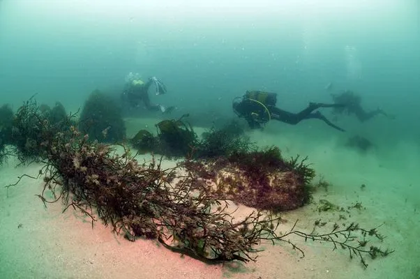 Camping Armor Loisirs