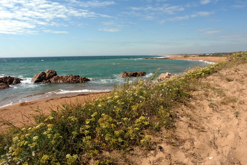 Chadotel La Dune des Sables