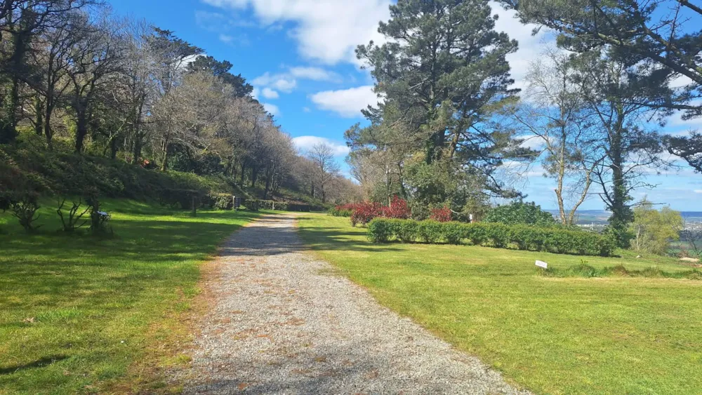 Stellplatz Mit Strom